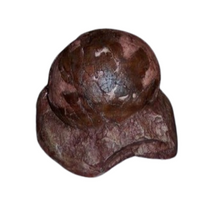 Load image into Gallery viewer, Sauropod Egg V Egg Cast Replica Dinosaur Reproductions