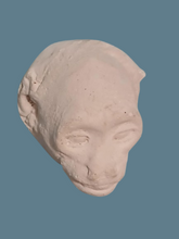 画像をギャラリービューアに読み込む, Baboon (Papio ursinus), female death cast replica Life cast