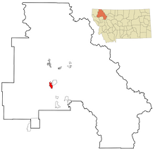 画像をギャラリービューアに読み込む, Grizzly Track #3C (Brown with toes) MC Paw Print Grizzly Track B W Shull 10.75" Diam Rare Plaster Bear footprint track cast replica
