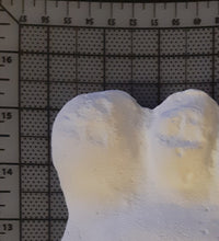 Laden Sie das Bild in den Galerie-Viewer, Clearance Bigfoot Gimlin / Titmus cast 10/29/1967