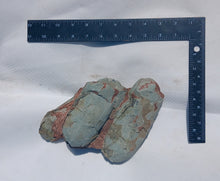Load image into Gallery viewer, Fossil Oviraptor Egg nest with Eggs Dinosaur