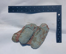 Load image into Gallery viewer, Cast Oviraptor Egg nest with Eggs Dinosaur