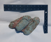 Load image into Gallery viewer, Fossil Oviraptor Egg nest with Eggs Dinosaur
