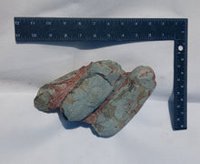 Load image into Gallery viewer, Cast Oviraptor Egg nest with Eggs Dinosaur