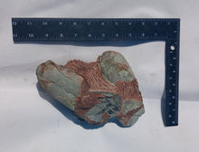 Load image into Gallery viewer, Cast Oviraptor Egg nest with Eggs Dinosaur
