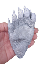 Load image into Gallery viewer, Bear: Footprint Black Bear Juvenile track Footprint Cast Replica Footprint Track
