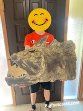 Laden Sie das Bild in den Galerie-Viewer, Rent a Dinosaur Exhibit!