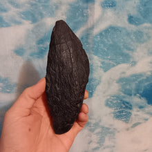 Load image into Gallery viewer, Stegosaurus Armor Plate cast replica #3