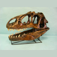 Load image into Gallery viewer, Allosaurus skull cast replica (no stand) Dinosaur