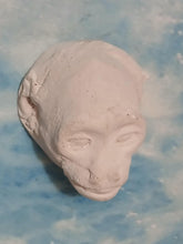 画像をギャラリービューアに読み込む, Baboon (Papio ursinus), female death cast replica Life cast