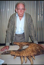 Load image into Gallery viewer, T.rex maxilla cast Harley the T.rex
