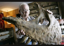 Load image into Gallery viewer, T.rex maxilla cast Harley the T.rex