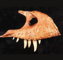 Load image into Gallery viewer, T.rex maxilla cast Harley the T.rex