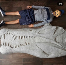 Load image into Gallery viewer, Spinosaurus Skull Plaque cast replica Dinosaur
