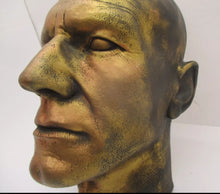 Load image into Gallery viewer, Patrick Stewart Life size Life-Mask face casting mask life cast
