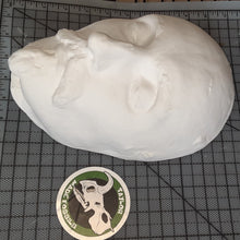 Load image into Gallery viewer, Shakespeare Life Mask Life Cast