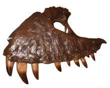 Load image into Gallery viewer, T-rex:  Dinosaur maxilla cast replica T.rex Trex