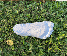 Cargar imagen en el visor de la galería, 1 Bigfoot Patterson "Patty" track footprint cast Plaster Bigfoot Cast Track Replica