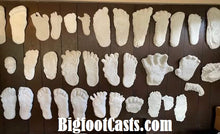 Cargar imagen en el visor de la galería, 1 Bigfoot Patterson "Patty" track footprint cast Plaster Bigfoot Cast Track Replica