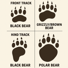 Load image into Gallery viewer, Bear: Footprint Black Bear Juvenile track Footprint Cast Replica Footprint Track