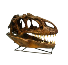 Load image into Gallery viewer, Allosaurus skull cast replica (no stand) Dinosaur