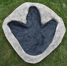 Load image into Gallery viewer, Tyrannosaurus Rex T.rex footprint track cast replica #2 T-rex