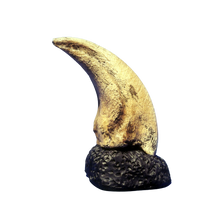 画像をギャラリービューアに読み込む, T.rex Claw 6.2" Tyrannosaurus Rex T.rex Fossil Claw cast replica for sale