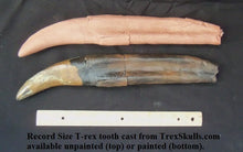 Load image into Gallery viewer, T.rex : 10 3/4" T.rex tooth cast replica