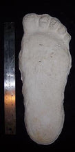 Laden Sie das Bild in den Galerie-Viewer, Clearance Bigfoot Gimlin / Titmus cast 10/29/1967