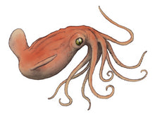 Load image into Gallery viewer, Octopus: Proteroctopus ribeti, fossil octopus cast replica