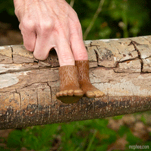 Load image into Gallery viewer, Bigfoot Finger Feet Fidget Toy