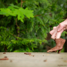 Load image into Gallery viewer, Bigfoot Finger Feet Fidget Toy