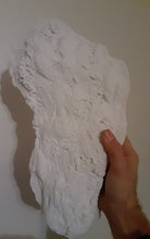 Load image into Gallery viewer, 1982 Umatilla Elk Wallow Paul Freeman Dermals Bigfoot  Cast
