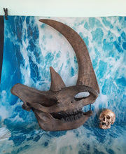 Load image into Gallery viewer, Woolly Rhino skull cast replica 3