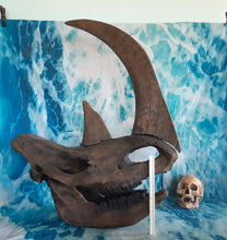 Load image into Gallery viewer, Woolly Rhino skull cast replica 3