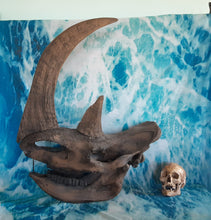 Load image into Gallery viewer, Woolly Rhino skull cast replica 3