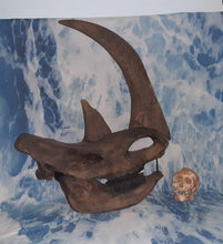 Load image into Gallery viewer, Woolly Rhino skull cast replica 3