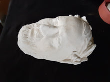 Load image into Gallery viewer, General Ulysses Grant Death Cast Mask Life cast Life mask