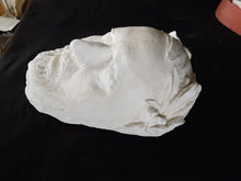 Load image into Gallery viewer, General Ulysses Grant Death Cast Mask Life cast Life mask