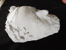 Load image into Gallery viewer, General Ulysses Grant Death Cast Mask Life cast Life mask