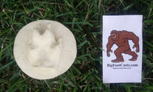 Cargar imagen en el visor de la galería, Grey Fox Footprint Cast Replica