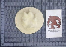Cargar imagen en el visor de la galería, Grey Fox Footprint Cast Replica