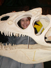 Cargar imagen en el visor de la galería, Allosaurus skull (unpainted / untrimmed)