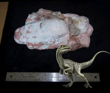 Load image into Gallery viewer, Velociraptor egg nest Dinosaur fossil egg cast for sale Replica Dinosaur Reproductions