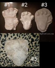 画像をギャラリービューアに読み込む, 2013(?) Orang Pendek #4 Footprint cast replica #4