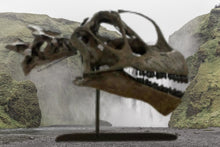 Laden Sie das Bild in den Galerie-Viewer, Rent a Dinosaur Exhibit!