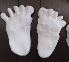 Load image into Gallery viewer, 1984 Paul Freeman's "Wrinkle Foot" cast  "A" Bigfoot Sasquatch footprint track cast replicas