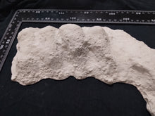Cargar imagen en el visor de la galería, 1982 Bigfoot / Sasquatch knuckle print cast replica