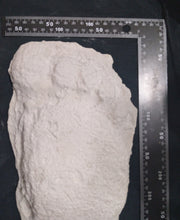 Cargar imagen en el visor de la galería, 1967 New Bigfoot Patterson "Patty #2" track footprint cast