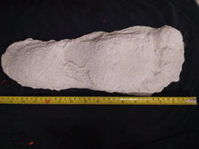 Cargar imagen en el visor de la galería, 1967 New Bigfoot Patterson "Patty #2" track footprint cast